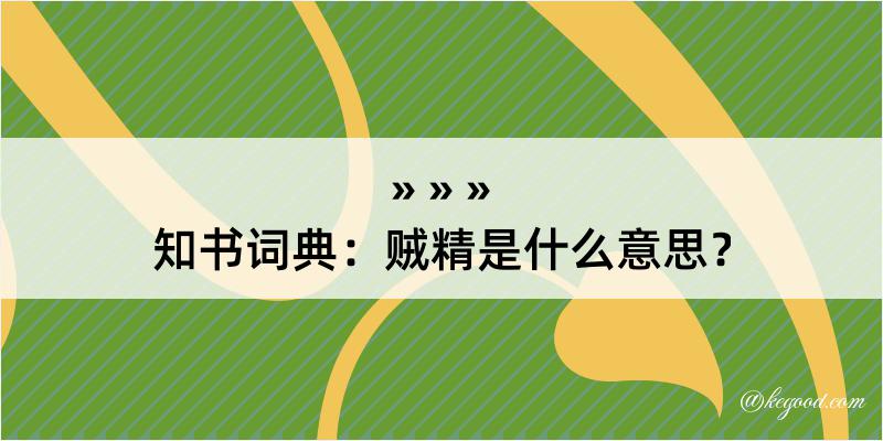 知书词典：贼精是什么意思？