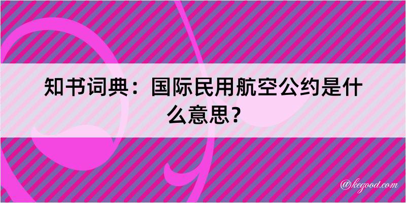 知书词典：国际民用航空公约是什么意思？