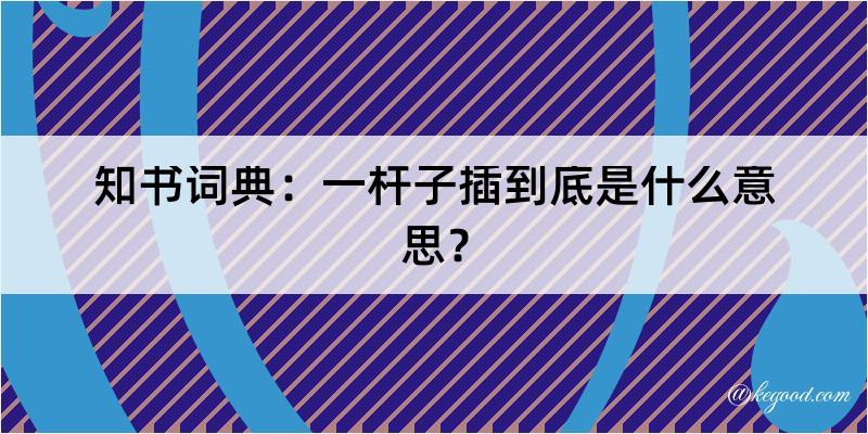 知书词典：一杆子插到底是什么意思？