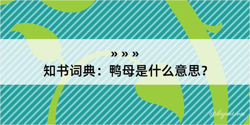 知书词典：鸭母是什么意思？