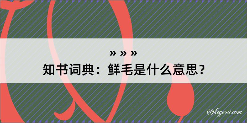 知书词典：鲜毛是什么意思？