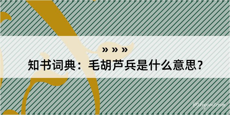 知书词典：毛胡芦兵是什么意思？