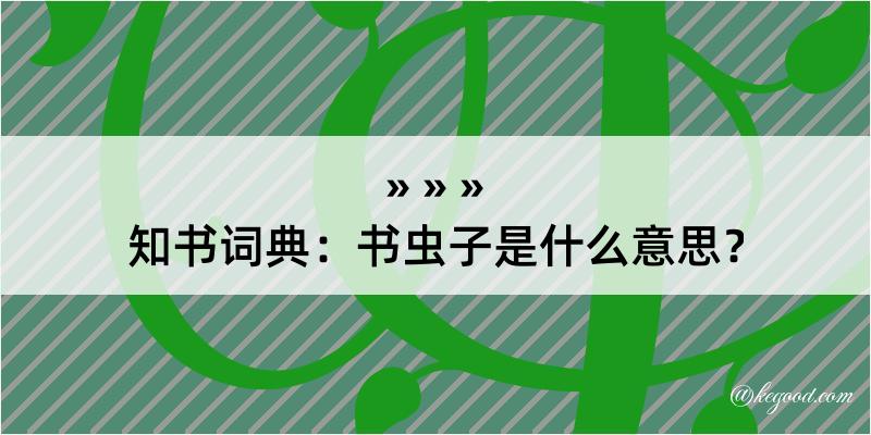 知书词典：书虫子是什么意思？