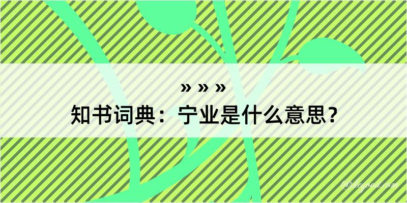 知书词典：宁业是什么意思？