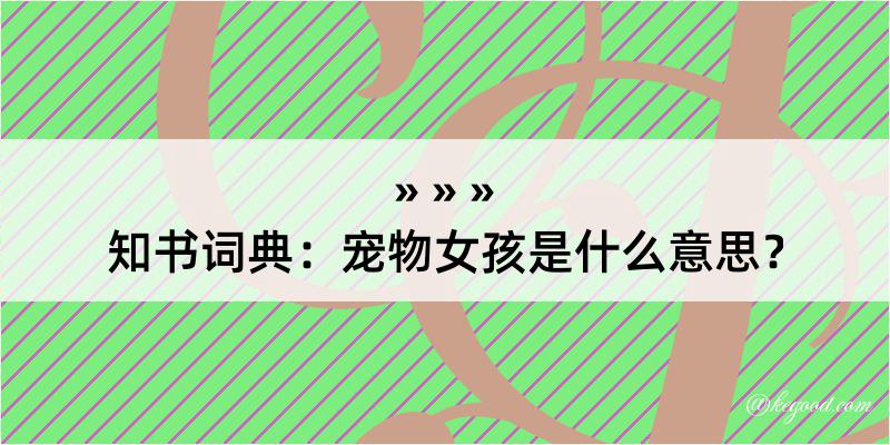 知书词典：宠物女孩是什么意思？