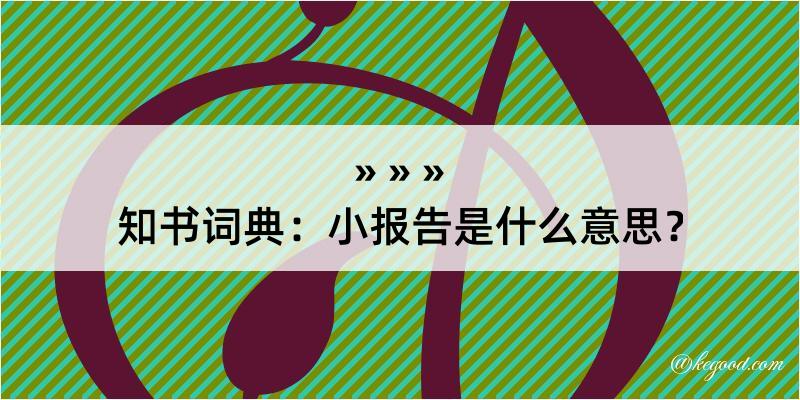 知书词典：小报告是什么意思？