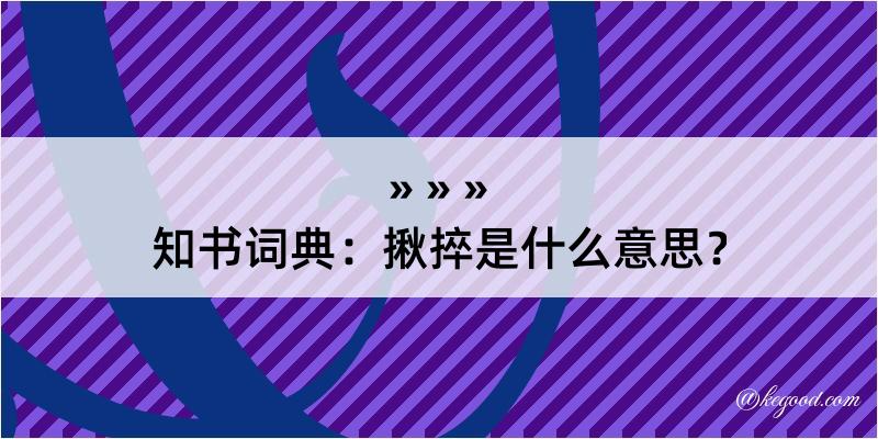 知书词典：揪捽是什么意思？