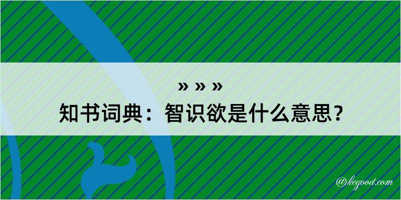 知书词典：智识欲是什么意思？