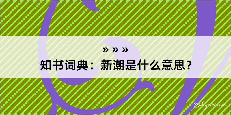 知书词典：新潮是什么意思？