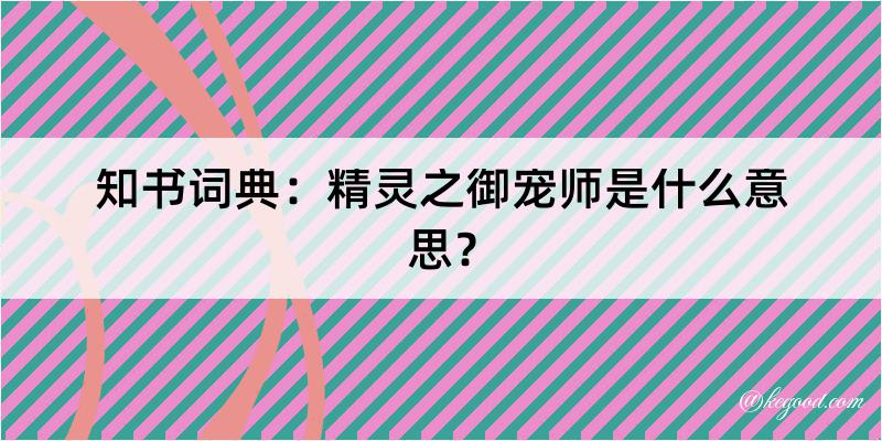 知书词典：精灵之御宠师是什么意思？