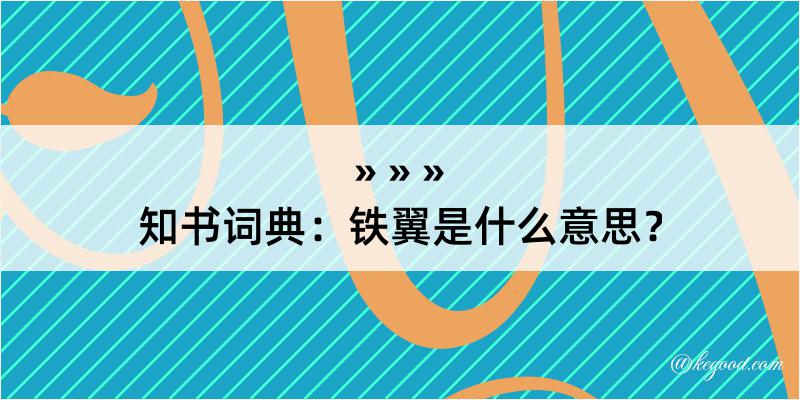 知书词典：铁翼是什么意思？