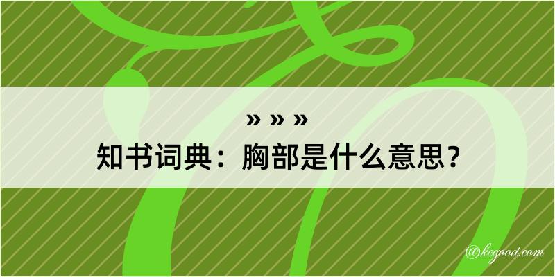 知书词典：胸部是什么意思？