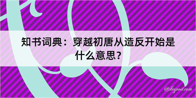 知书词典：穿越初唐从造反开始是什么意思？