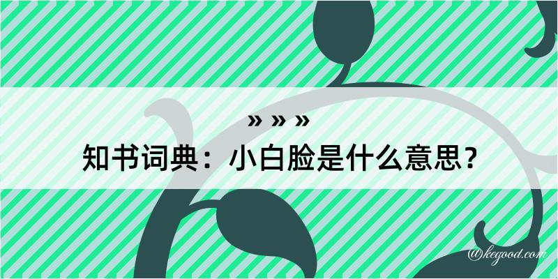 知书词典：小白脸是什么意思？