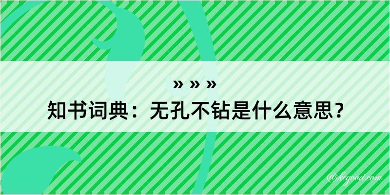 知书词典：无孔不钻是什么意思？