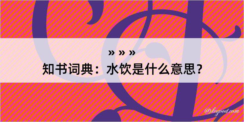 知书词典：水饮是什么意思？