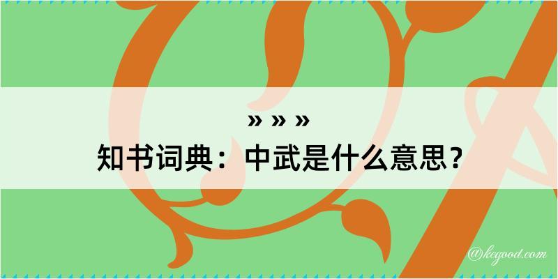 知书词典：中武是什么意思？