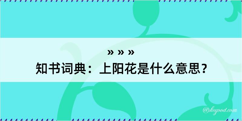 知书词典：上阳花是什么意思？