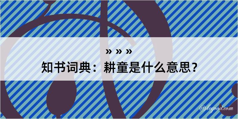 知书词典：耕童是什么意思？