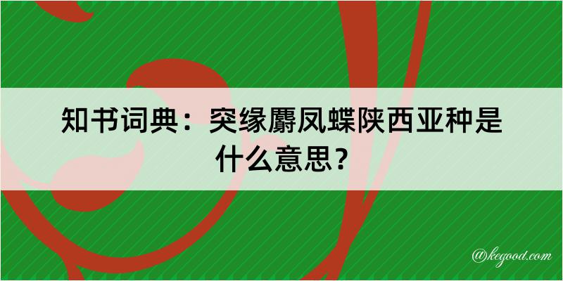 知书词典：突缘麝凤蝶陕西亚种是什么意思？