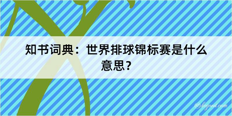 知书词典：世界排球锦标赛是什么意思？