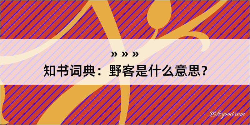 知书词典：野客是什么意思？