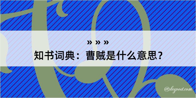 知书词典：曹贼是什么意思？