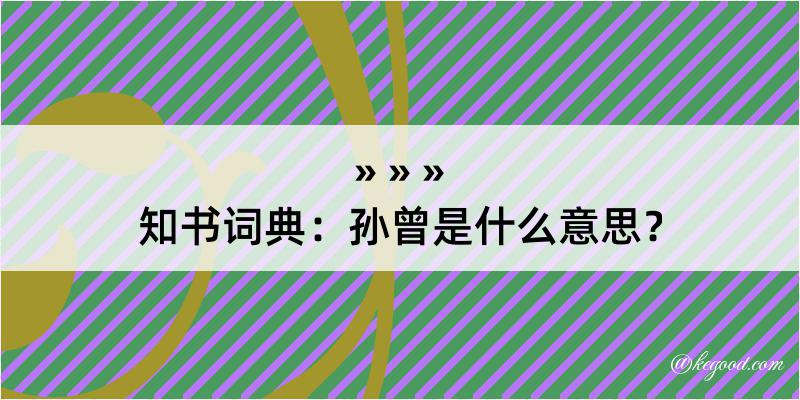 知书词典：孙曾是什么意思？