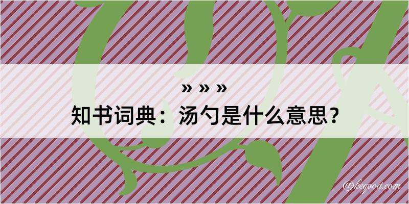 知书词典：汤勺是什么意思？