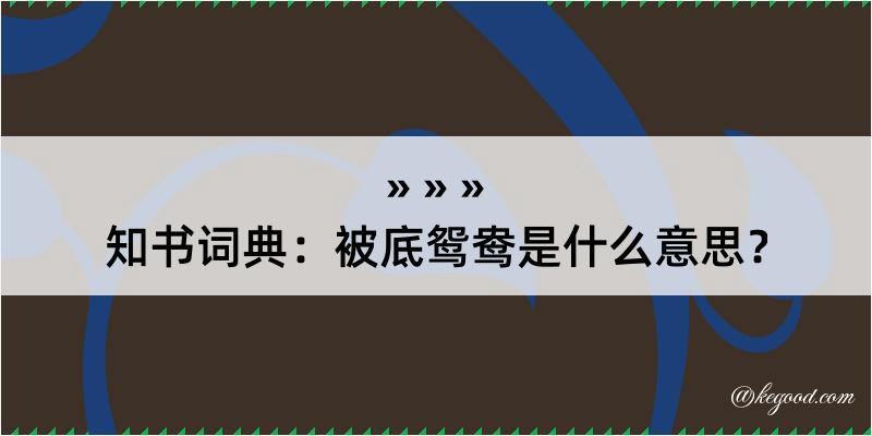 知书词典：被底鸳鸯是什么意思？