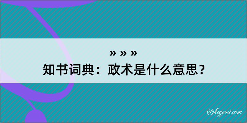 知书词典：政术是什么意思？