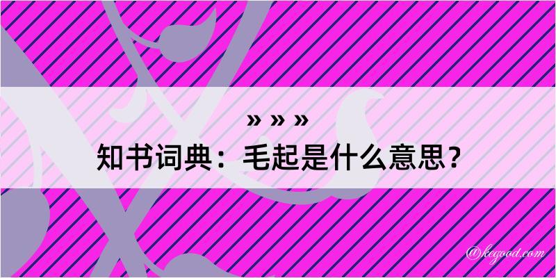 知书词典：毛起是什么意思？