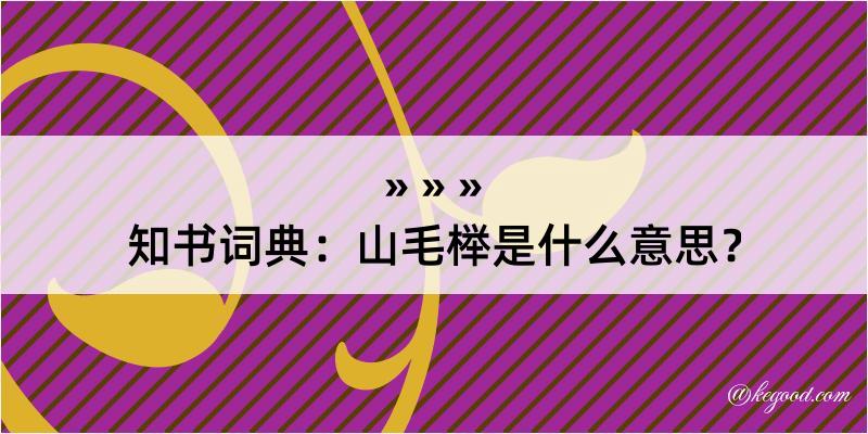 知书词典：山毛榉是什么意思？