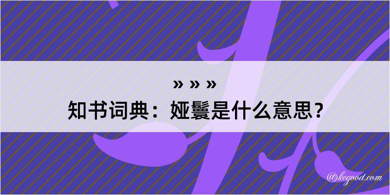 知书词典：娅鬟是什么意思？