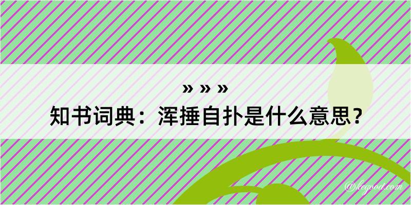 知书词典：浑捶自扑是什么意思？