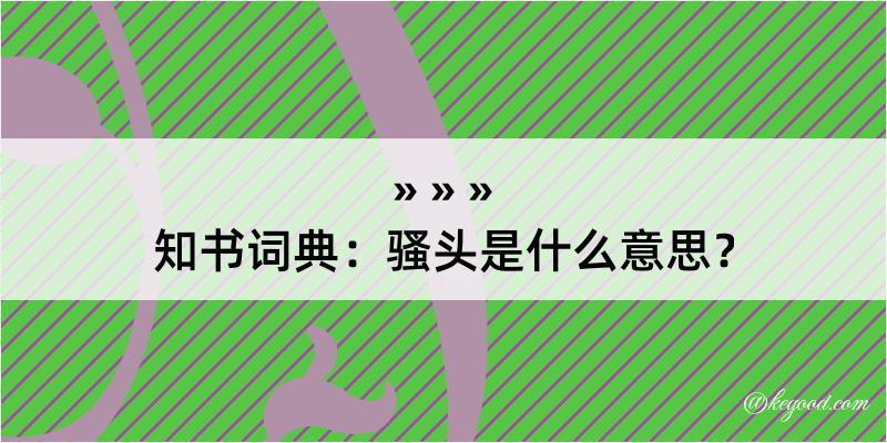 知书词典：骚头是什么意思？