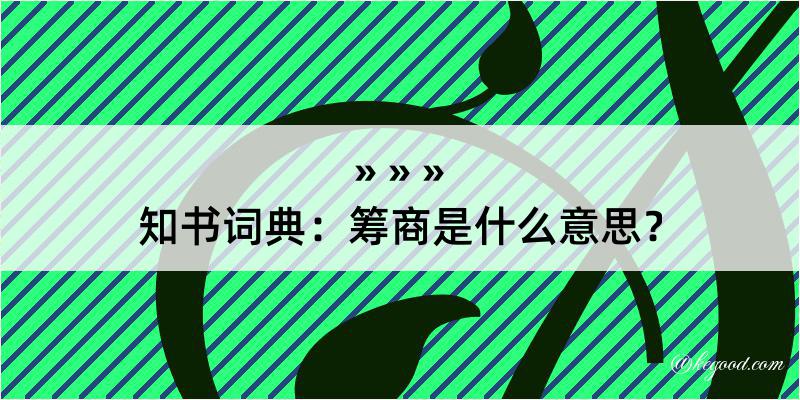 知书词典：筹商是什么意思？