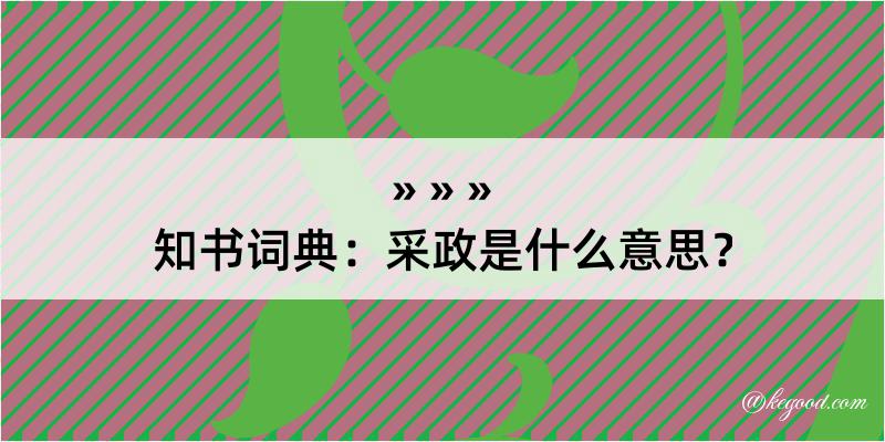 知书词典：采政是什么意思？