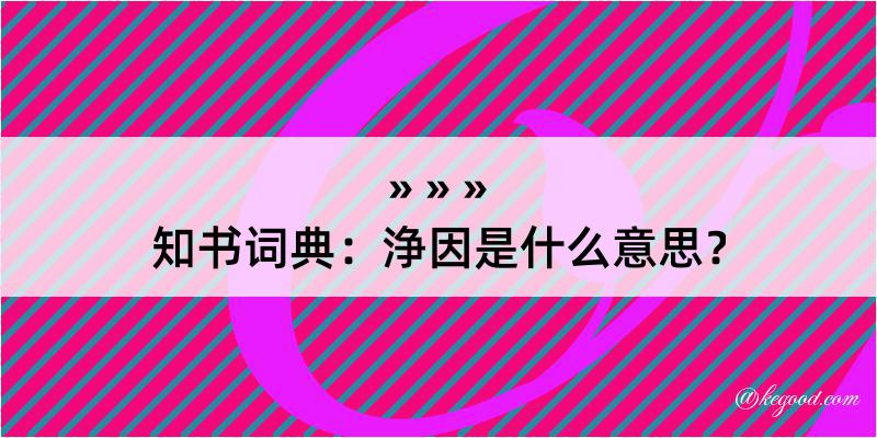 知书词典：浄因是什么意思？