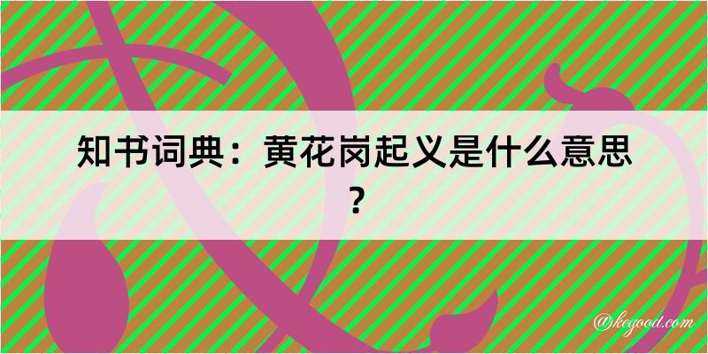 知书词典：黄花岗起义是什么意思？