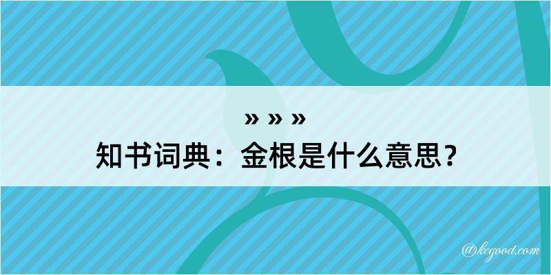 知书词典：金根是什么意思？