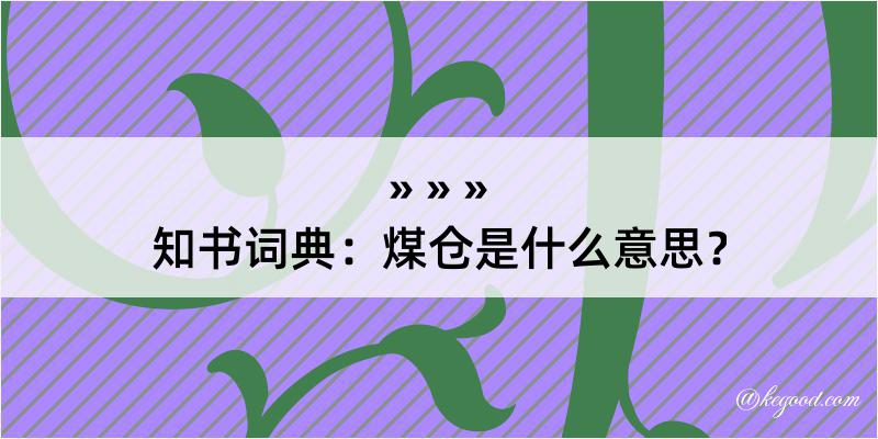 知书词典：煤仓是什么意思？