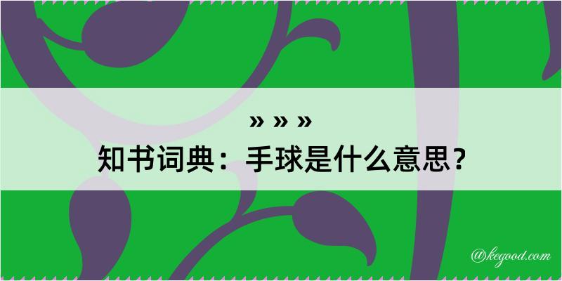 知书词典：手球是什么意思？