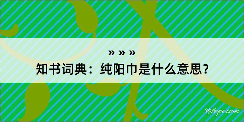 知书词典：纯阳巾是什么意思？