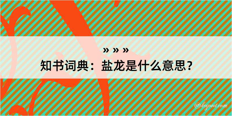 知书词典：盐龙是什么意思？