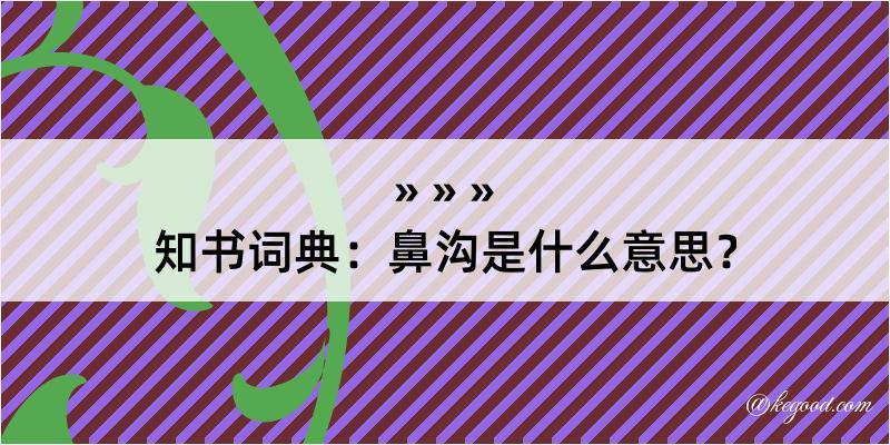 知书词典：鼻沟是什么意思？