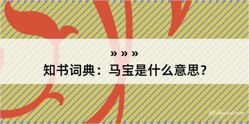 知书词典：马宝是什么意思？