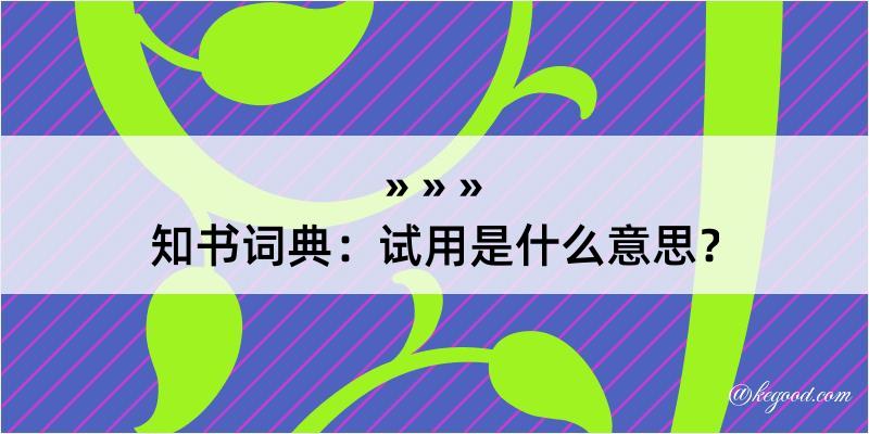 知书词典：试用是什么意思？