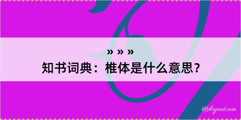 知书词典：椎体是什么意思？