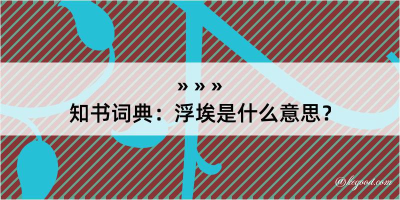 知书词典：浮埃是什么意思？